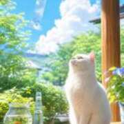 ヒメ日記 2026/08/18 16:16 投稿 早川まお(はやかわまお) 五十路マダムエクスプレス厚木店(カサブランカグループ)