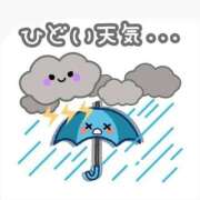ヒメ日記 2026/09/29 12:06 投稿 早川まお(はやかわまお) 五十路マダムエクスプレス厚木店(カサブランカグループ)