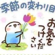 ヒメ日記 2026/10/10 09:24 投稿 早川まお(はやかわまお) 五十路マダムエクスプレス厚木店(カサブランカグループ)
