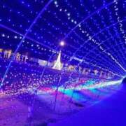 ヒメ日記 2026/01/28 11:28 投稿 さくら 群馬渋川水沢ちゃんこ