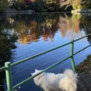 ヒメ日記 2024/12/23 18:10 投稿 志穂 セクシーキャット 神田店