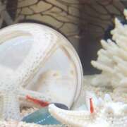 ヒメ日記 2025/01/14 23:19 投稿 志穂 セクシーキャット 神田店