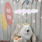 ヒメ日記 2025/03/21 01:31 投稿 志穂 セクシーキャット 神田店