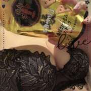 ヒメ日記 2025/03/31 01:21 投稿 志穂 セクシーキャット 神田店