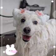 ヒメ日記 2025/04/21 18:18 投稿 志穂 セクシーキャット 神田店