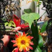 ヒメ日記 2025/08/04 03:39 投稿 志穂 セクシーキャット 神田店