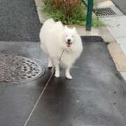 ヒメ日記 2025/08/22 22:02 投稿 志穂 セクシーキャット 神田店