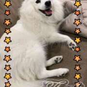 ヒメ日記 2025/09/19 18:46 投稿 志穂 セクシーキャット 神田店