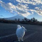 ヒメ日記 2025/12/31 23:57 投稿 志穂 セクシーキャット 神田店