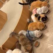 ヒメ日記 2026/01/07 18:44 投稿 志穂 セクシーキャット 神田店