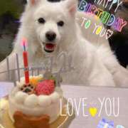 志穂 ポイント※ ( ¨̮ ) ※ セクシーキャット 神田店