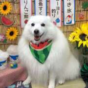 志穂 (´∵`)！ セクシーキャット 神田店