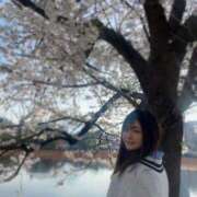 ヒメ日記 2025/04/03 16:52 投稿 茜きき ニューハーフヘルスLIBE 東京新宿