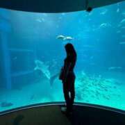 ヒメ日記 2025/04/28 23:28 投稿 茜きき ニューハーフヘルスLIBE 東京新宿