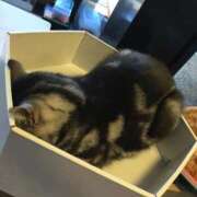 ヒメ日記 2025/10/12 11:57 投稿 らいむ OKINI八王子