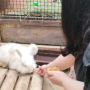 ヒメ日記 2025/06/03 21:06 投稿 あまね 大垣羽島安八ちゃんこ