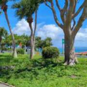 ヒメ日記 2025/09/08 16:09 投稿 あいり アネックスジャパン