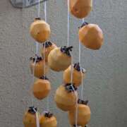 あいり 冬の手仕事☃❄ アネックスジャパン