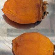 ヒメ日記 2025/12/10 20:09 投稿 あいり アネックスジャパン