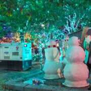 ヒメ日記 2025/12/22 21:49 投稿 あいり アネックスジャパン