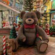 ヒメ日記 2025/12/27 00:09 投稿 あいり アネックスジャパン