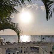 ヒメ日記 2026/02/03 20:09 投稿 あいり アネックスジャパン