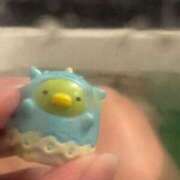 まゆ 可愛い☺️✨ ロイヤル土佐