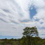 ヒメ日記 2025/06/08 19:31 投稿 ふうり Mrs Sirena（ミセスシレナ）