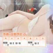 ヒメ日記 2024/08/15 09:12 投稿 こはく『ガール』 ティファニーガール