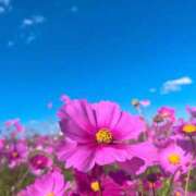 ヒメ日記 2025/11/12 16:11 投稿 こはく『ガール』 ディオーネ