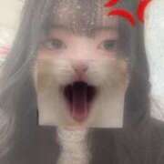 ヒメ日記 2025/11/16 12:06 投稿 こはく『ガール』 ディオーネ