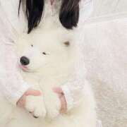 ヒメ日記 2025/12/09 07:06 投稿 こはく『ガール』 ディオーネ