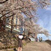 ヒメ日記 2026/04/06 20:16 投稿 こはく『ガール』 ディオーネ