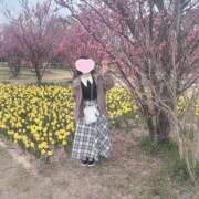 ヒメ日記 2026/04/08 08:02 投稿 こはく『ガール』 ディオーネ