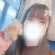 ヒメ日記 2026/10/04 12:02 投稿 こはく『ガール』 ディオーネ