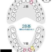 ヒメ日記 2024/11/20 11:52 投稿 大山みや 淫乱OL派遣商社 斉藤商事