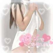 ヒメ日記 2025/03/12 16:17 投稿 けい 柏人妻花壇