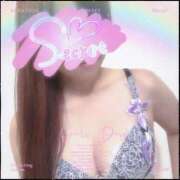 ヒメ日記 2025/06/06 09:05 投稿 けい 柏人妻花壇