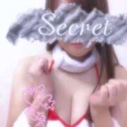 ヒメ日記 2025/07/02 08:36 投稿 けい 柏人妻花壇