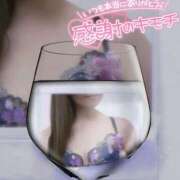 ヒメ日記 2026/09/01 13:14 投稿 けい 柏人妻花壇