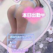 ヒメ日記 2026/09/15 10:32 投稿 けい 柏人妻花壇