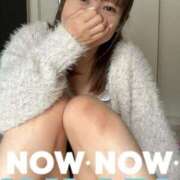 ヒメ日記 2024/12/12 08:08 投稿 あこ 柏人妻花壇