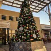 ヒメ日記 2024/12/18 06:41 投稿 あこ 柏人妻花壇