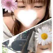 ヒメ日記 2025/03/17 09:47 投稿 あこ 柏人妻花壇