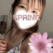 ヒメ日記 2025/03/23 17:21 投稿 あこ 柏人妻花壇