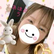 ヒメ日記 2025/03/25 07:06 投稿 あこ 柏人妻花壇