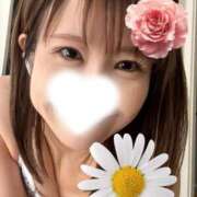 ヒメ日記 2025/03/27 07:52 投稿 あこ 柏人妻花壇