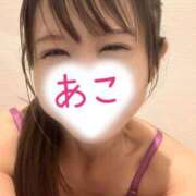 ヒメ日記 2025/06/01 16:31 投稿 あこ 柏人妻花壇