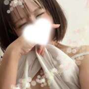 ヒメ日記 2025/09/19 16:24 投稿 あこ 柏人妻花壇