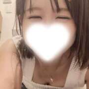 ヒメ日記 2025/09/29 11:07 投稿 あこ 柏人妻花壇